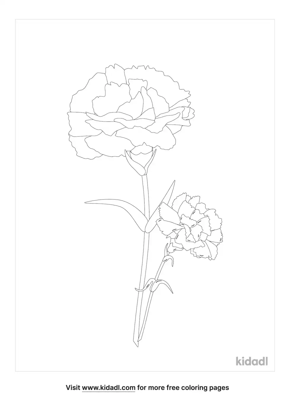 Red Carnation Coloring Page