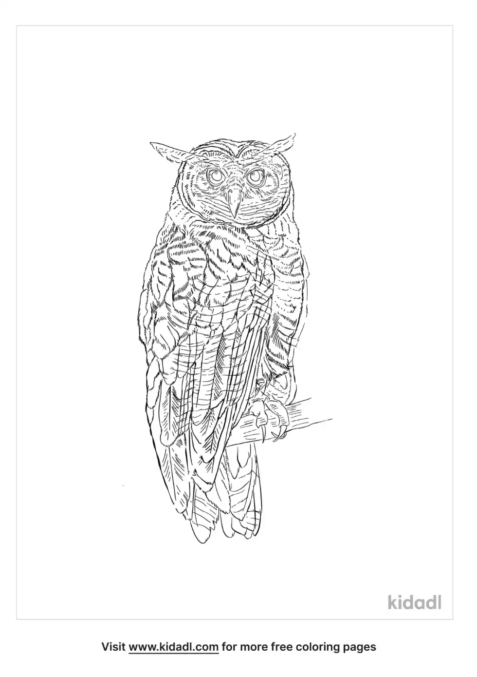 Forest Eagle-Owl Coloring Page