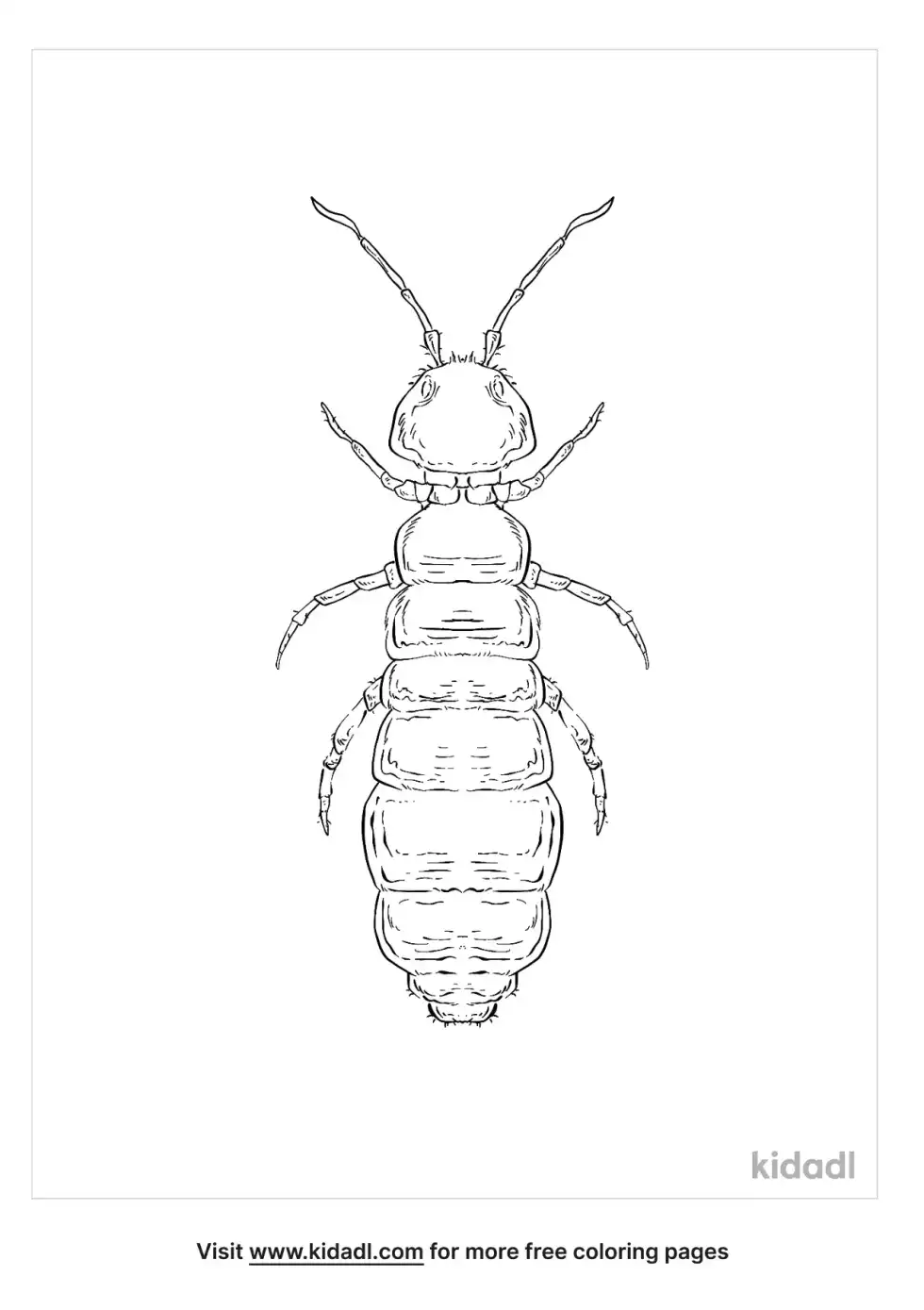 Snow Fleas Coloring Page