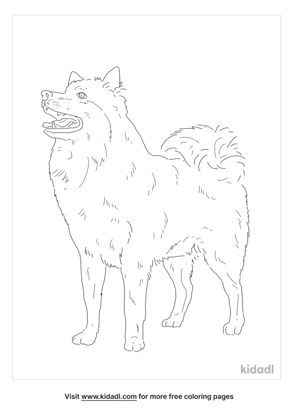 Finnish Lapphund Coloring Page