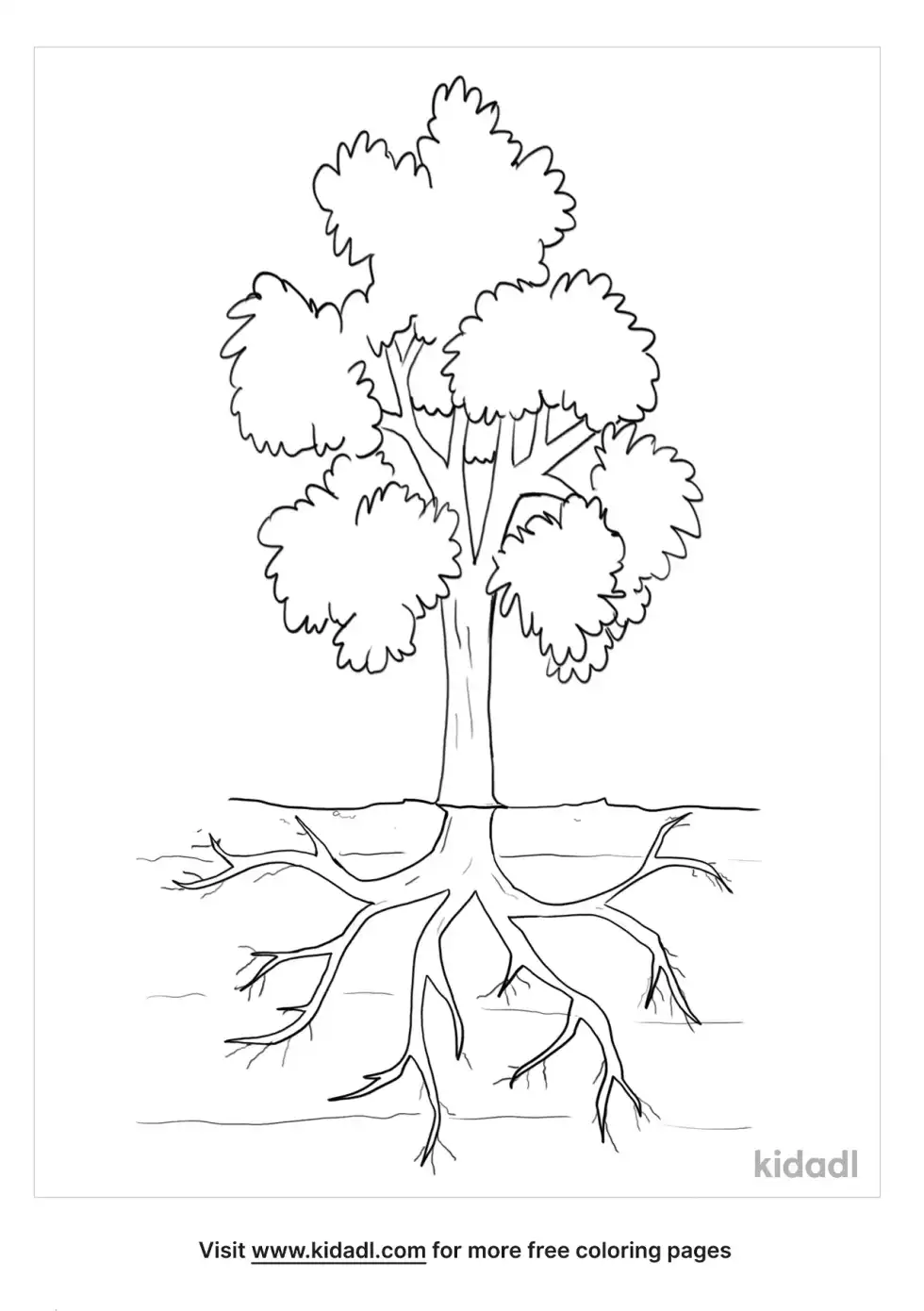 Tree Roots Coloring Page