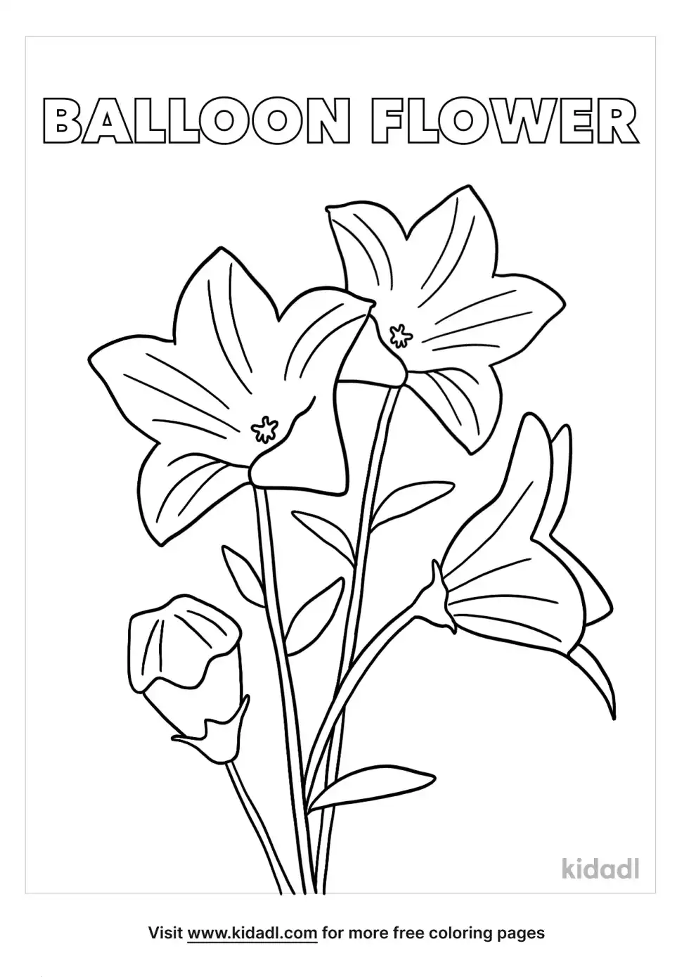 Balloon Flower Coloring Page