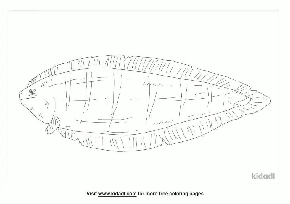 Tonguefish Coloring Page
