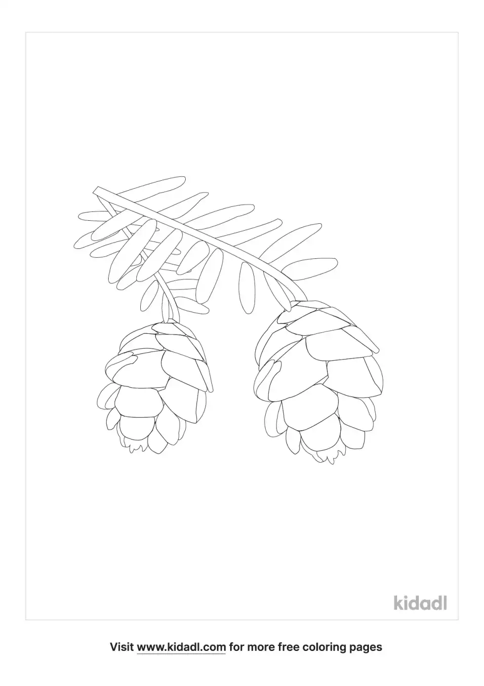 Eastern Hemlock Coloring Page