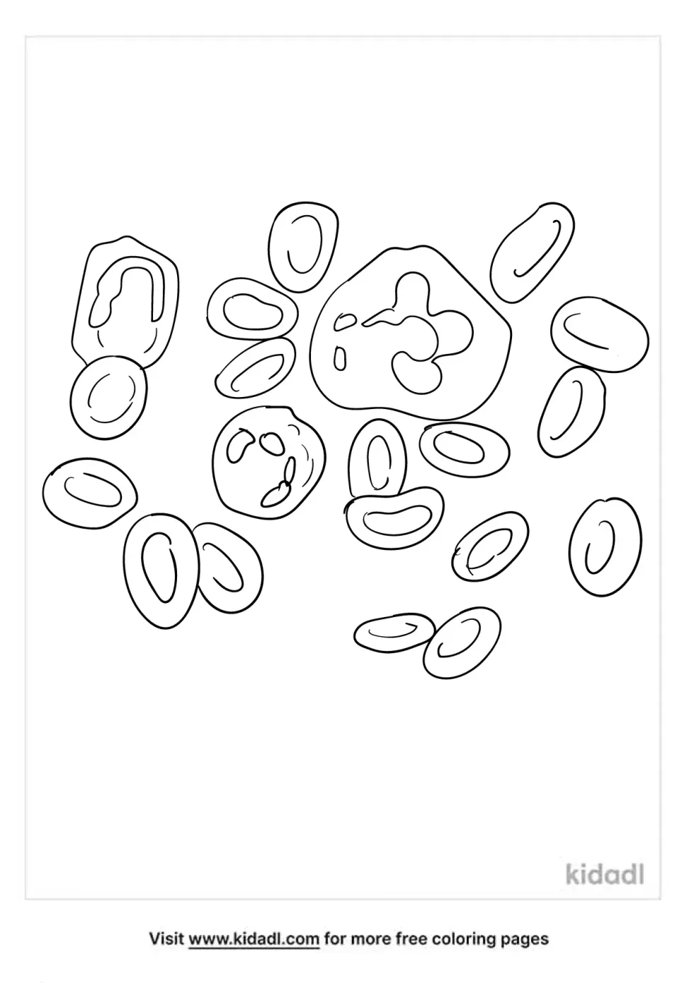 Blood Cells Coloring Page