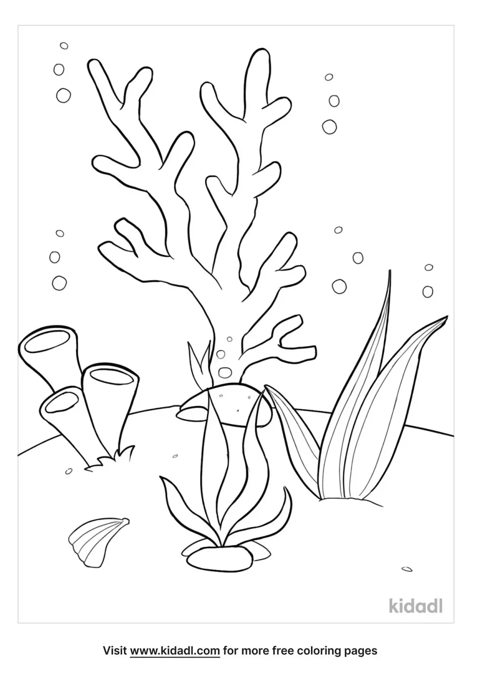 Sea Plants Coloring Page