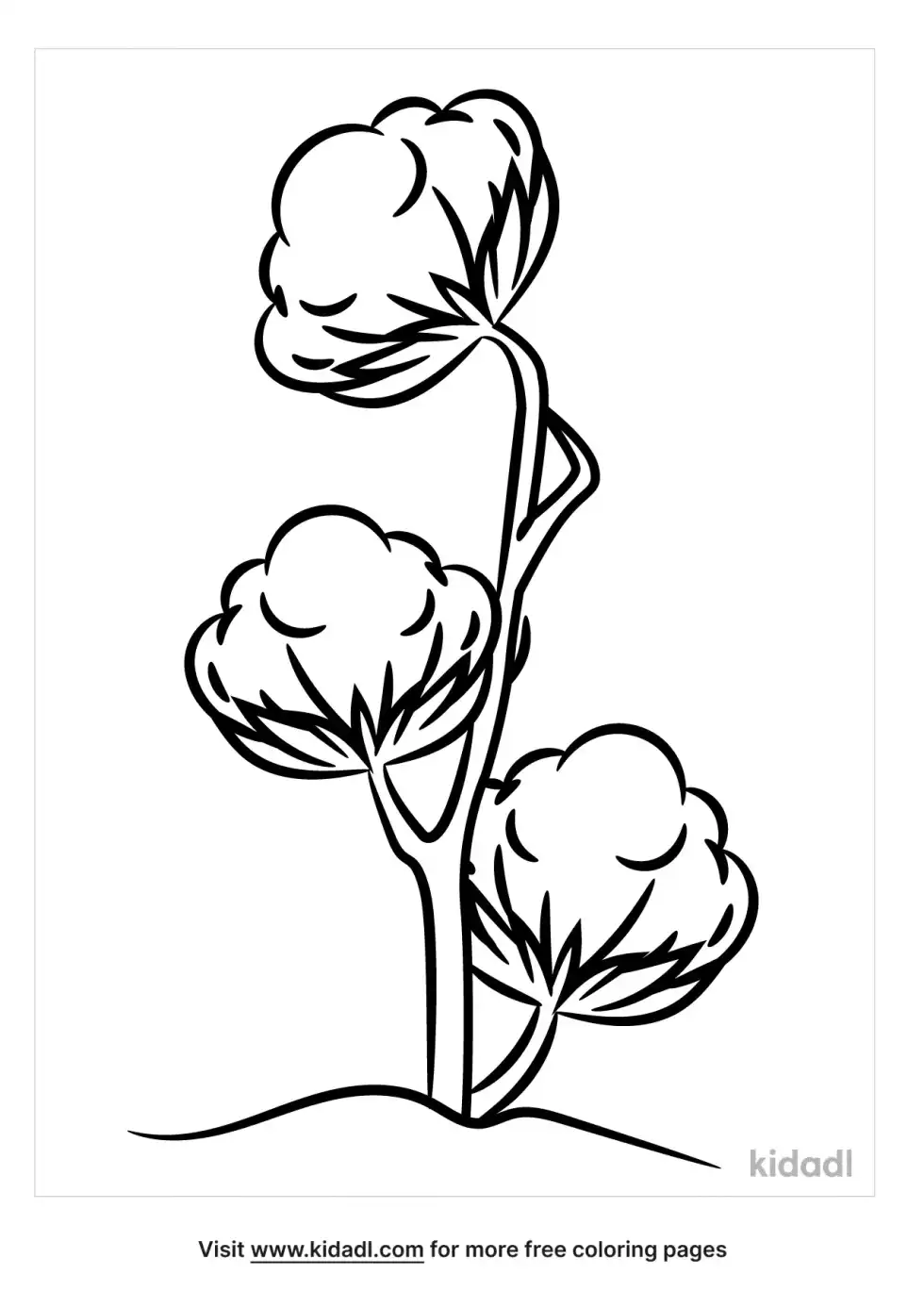 Cotton Plant Coloring Page