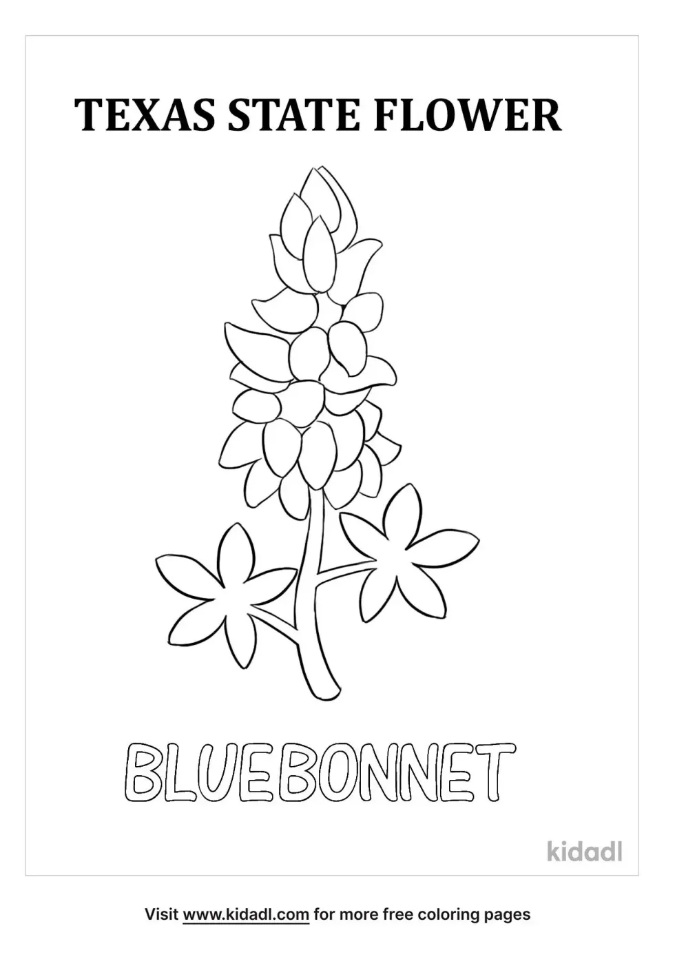 Texas State Flower Coloring Page