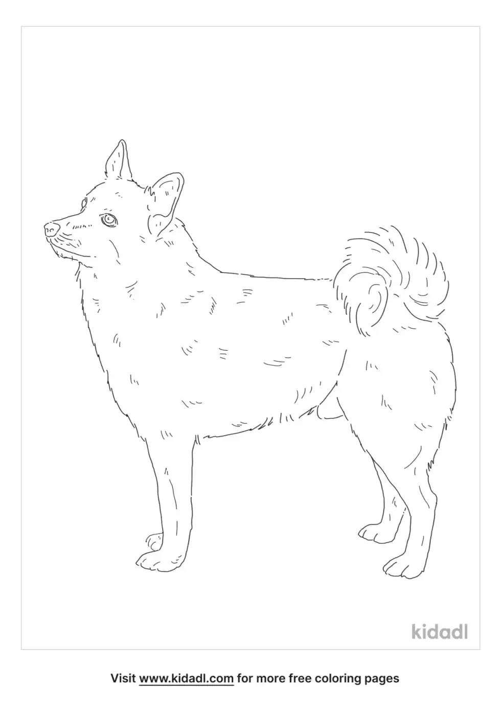 Norweigan Buhund Coloring Page