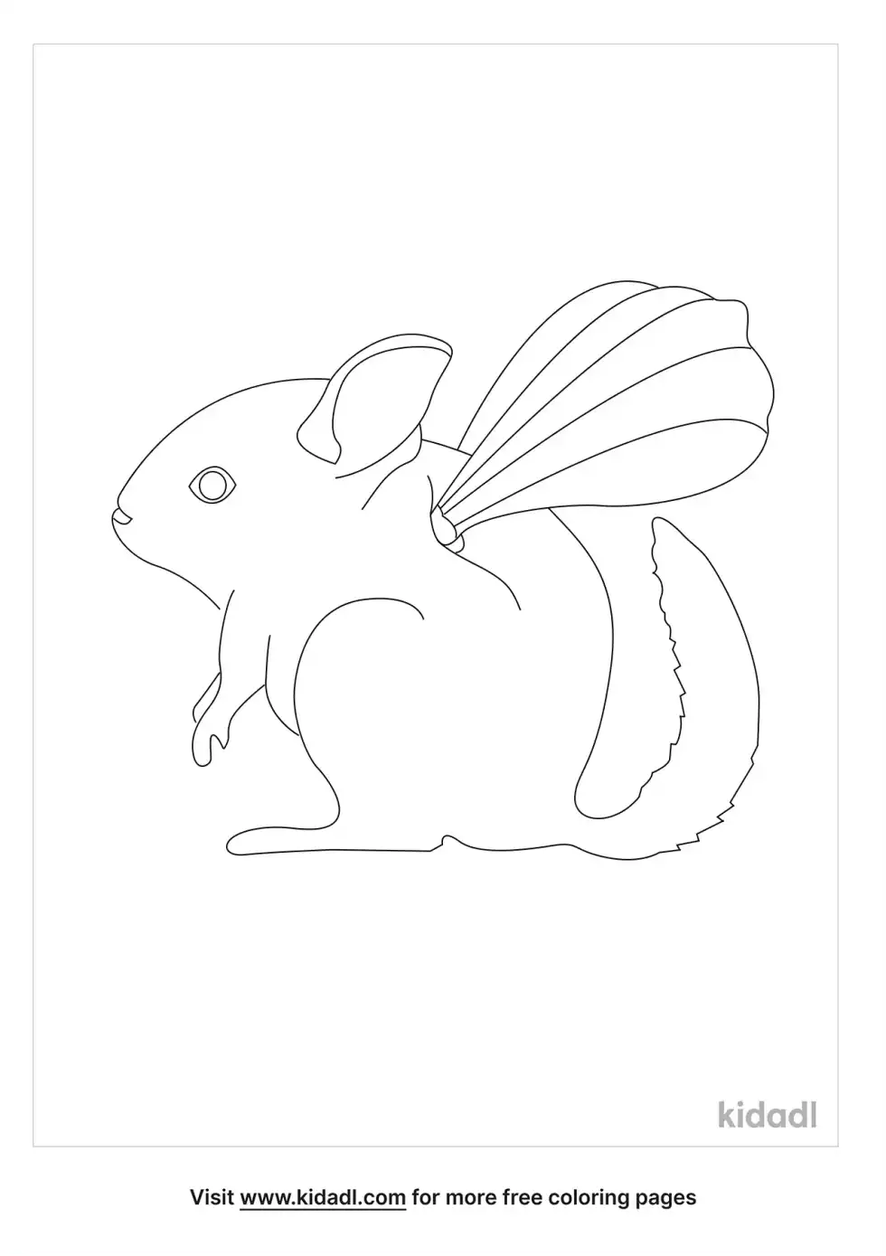 Winged Chinchilla Coloring Page