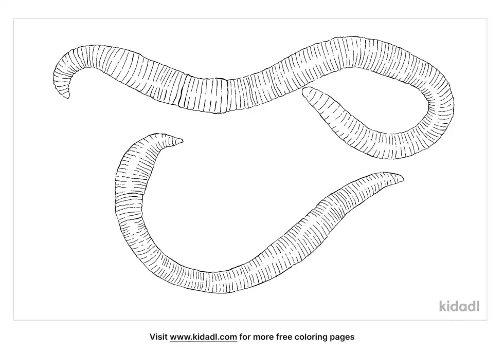Earthworms Coloring Page