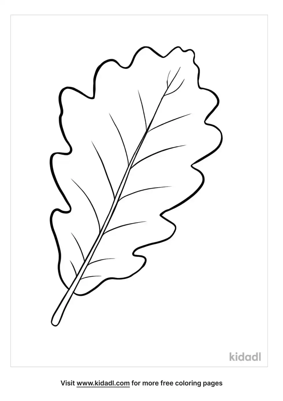Sessile Oak Leaf Coloring Page