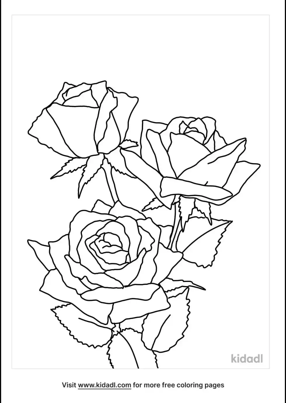 Rosa Grandiflora Coloring Page