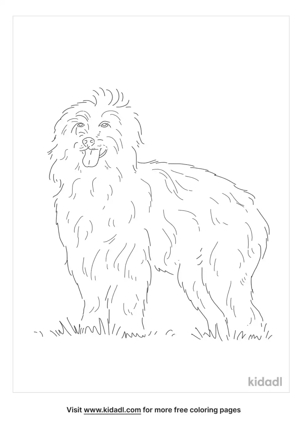 Pyrenean Shepherd Coloring Page