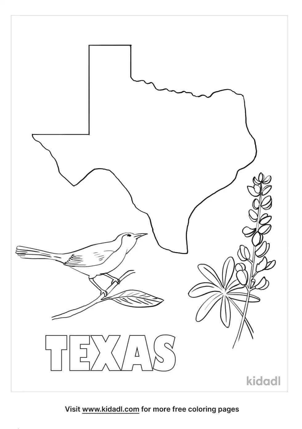 Texas State Symbols Coloring Page