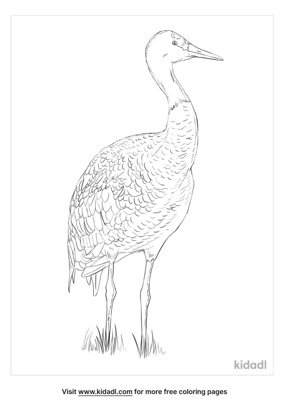 Hooded Crane Coloring Page