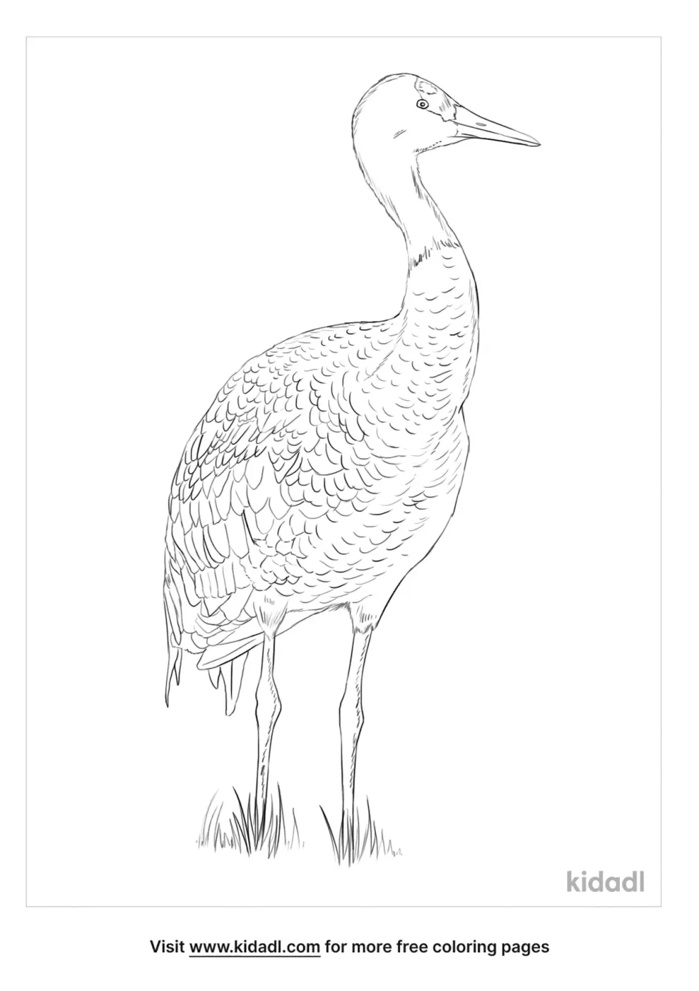 Hooded Crane Coloring Page