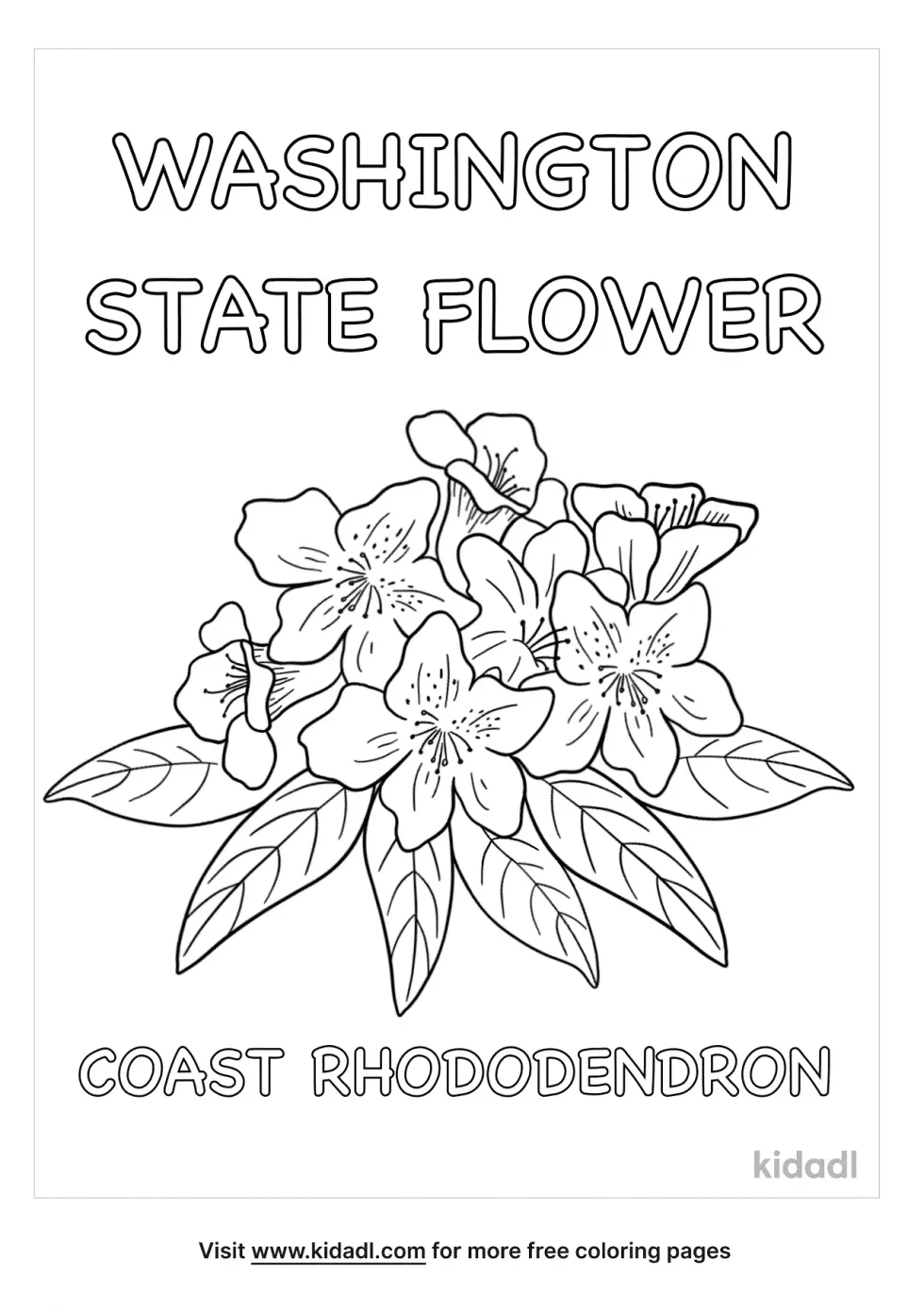 Washington State Flower Coloring Page