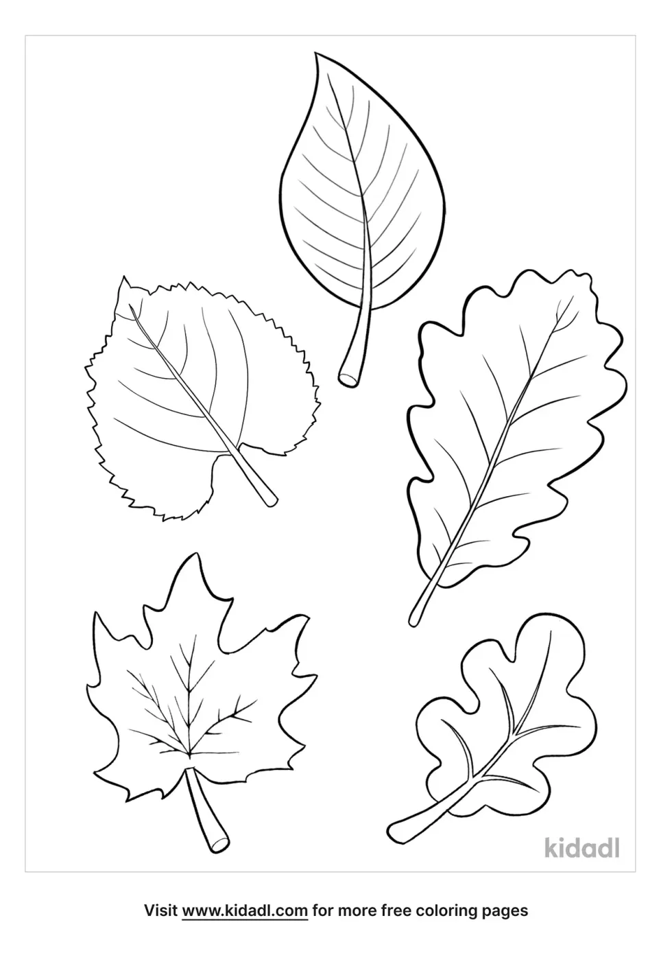 5 Leaves