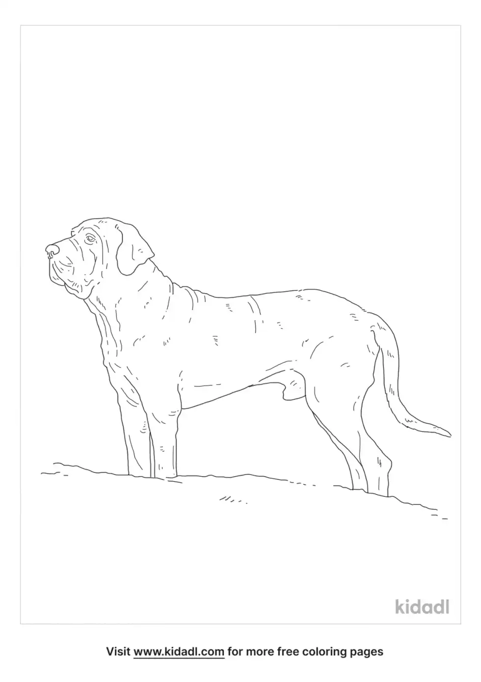 Fila Brasileiro Coloring Page