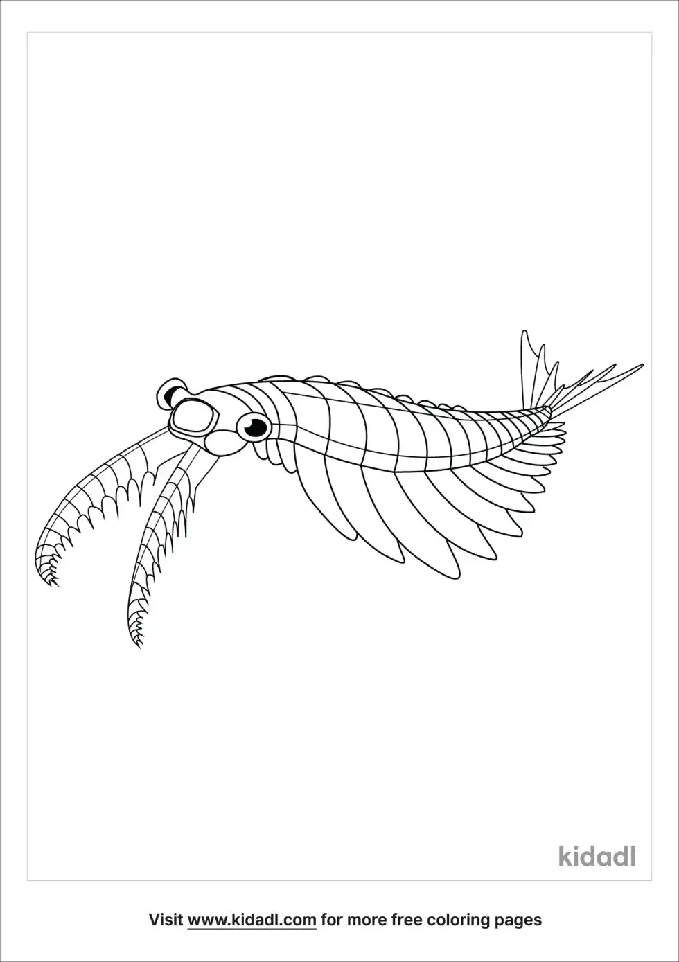 Anomalocaris Coloring Page