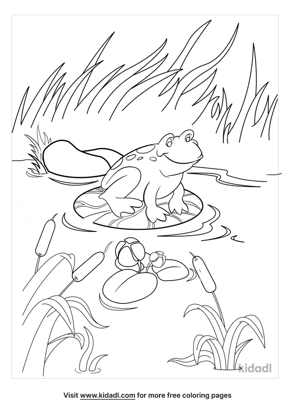 Frog In A Garden Coloring Page