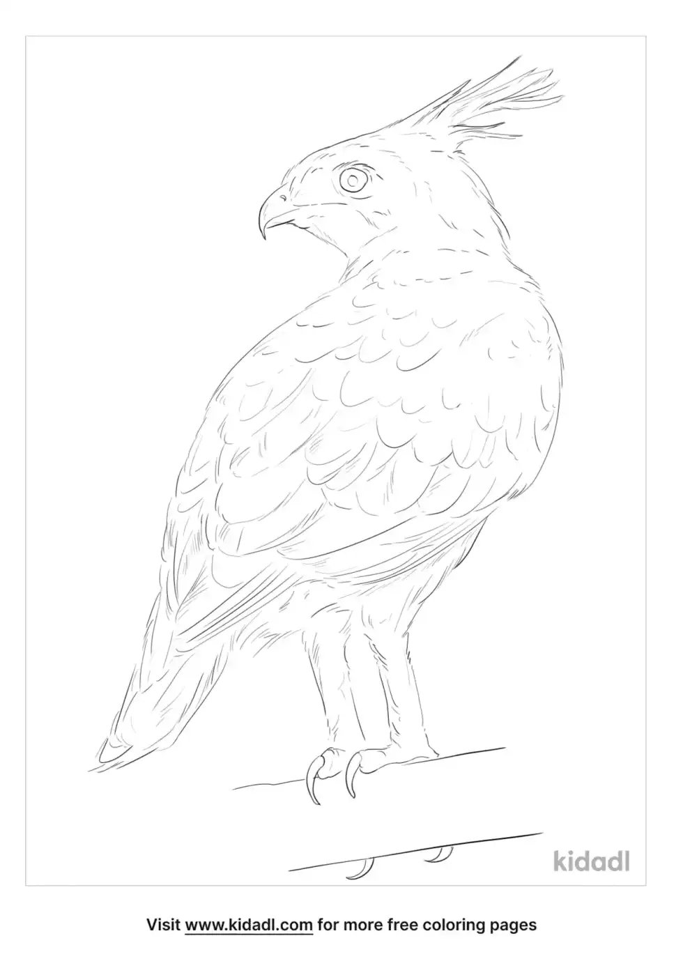 Long-Crested Eagle Coloring Page