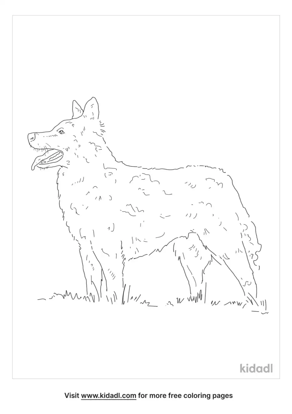 Mudi Coloring Page