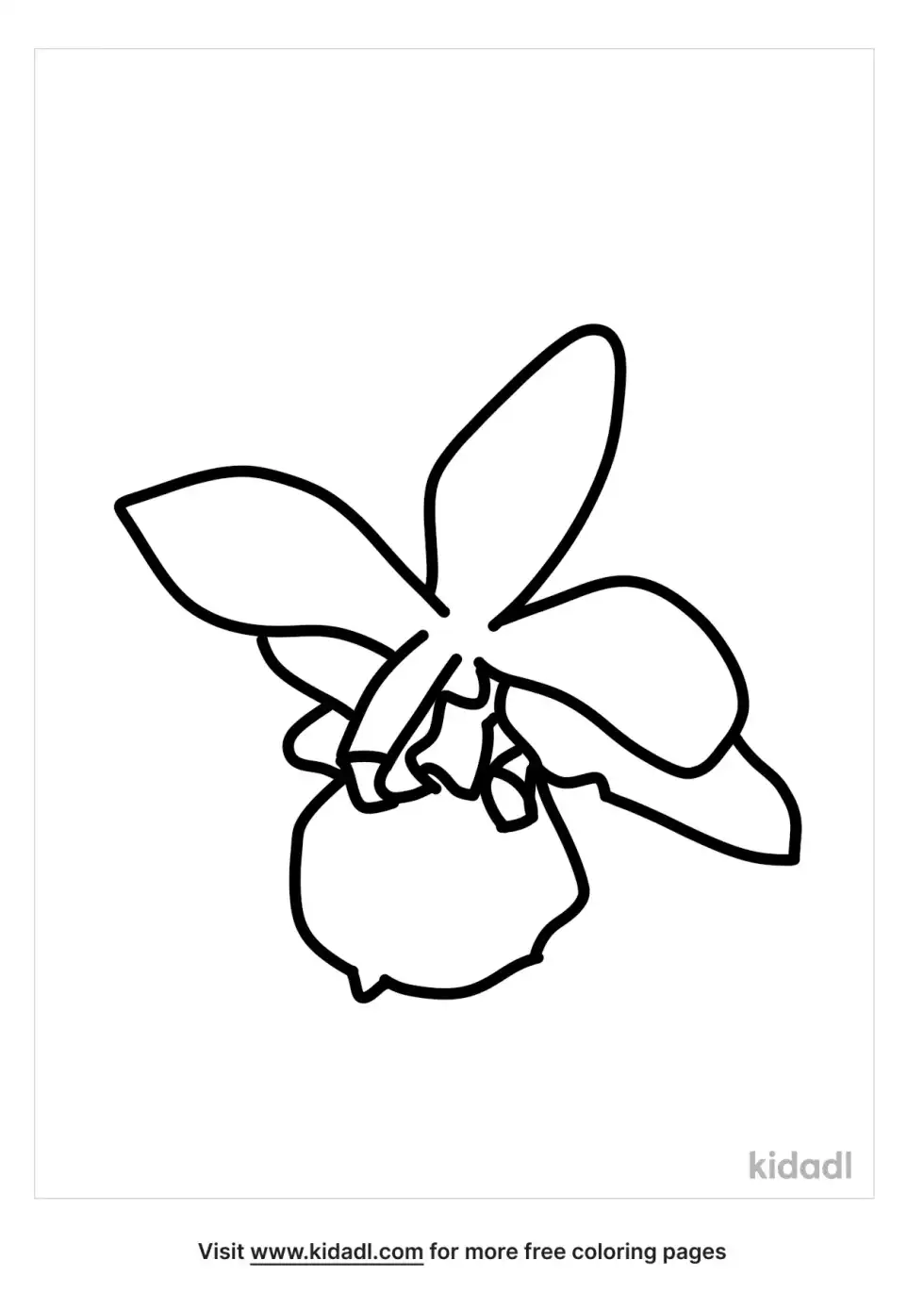 Butterfly Orchid Coloring Page