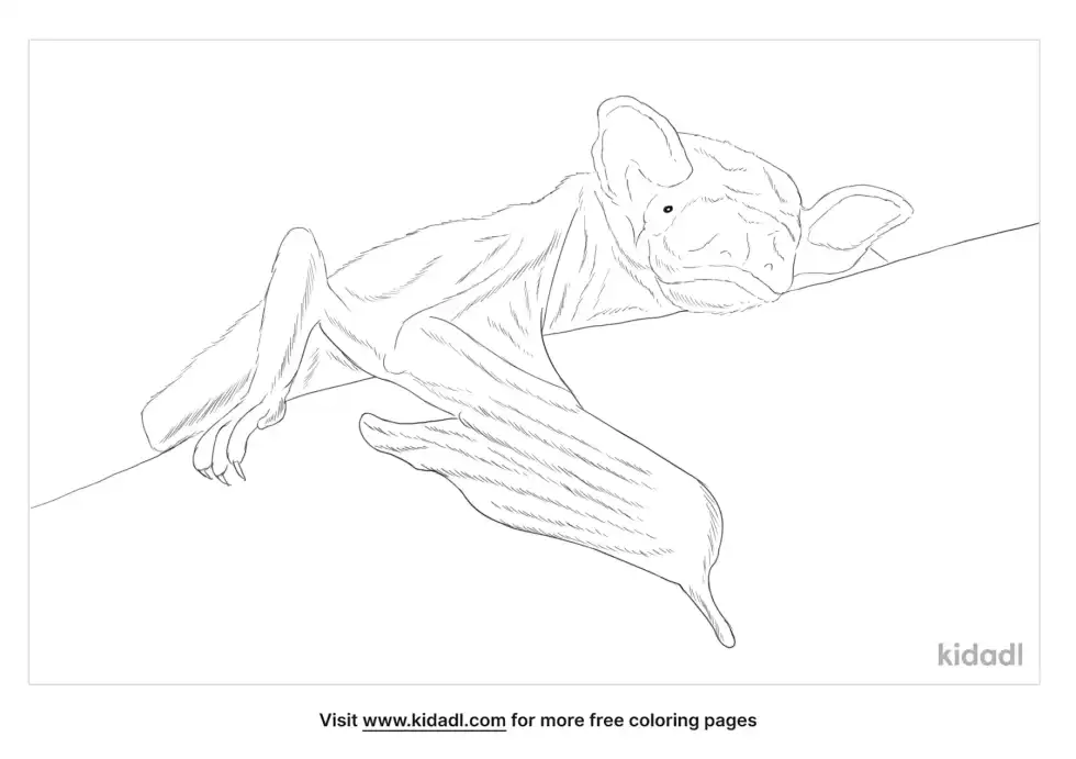 Goblin Bat Coloring Page
