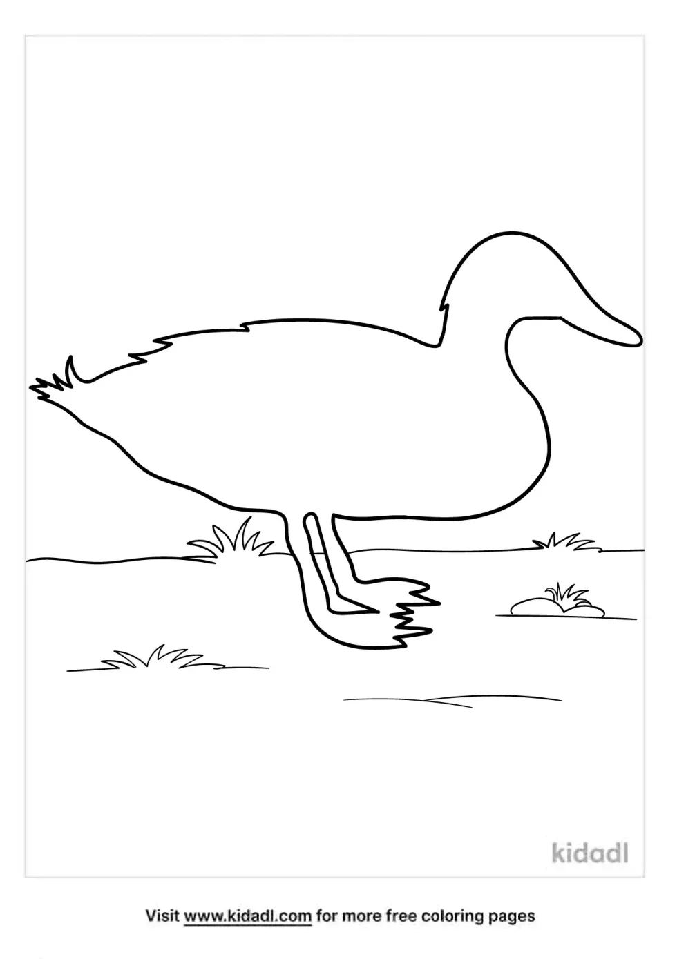 Mallard Duck Outline