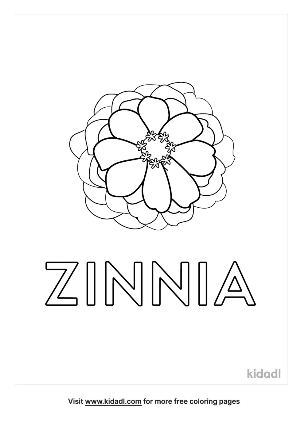Zinnia Coloring Page