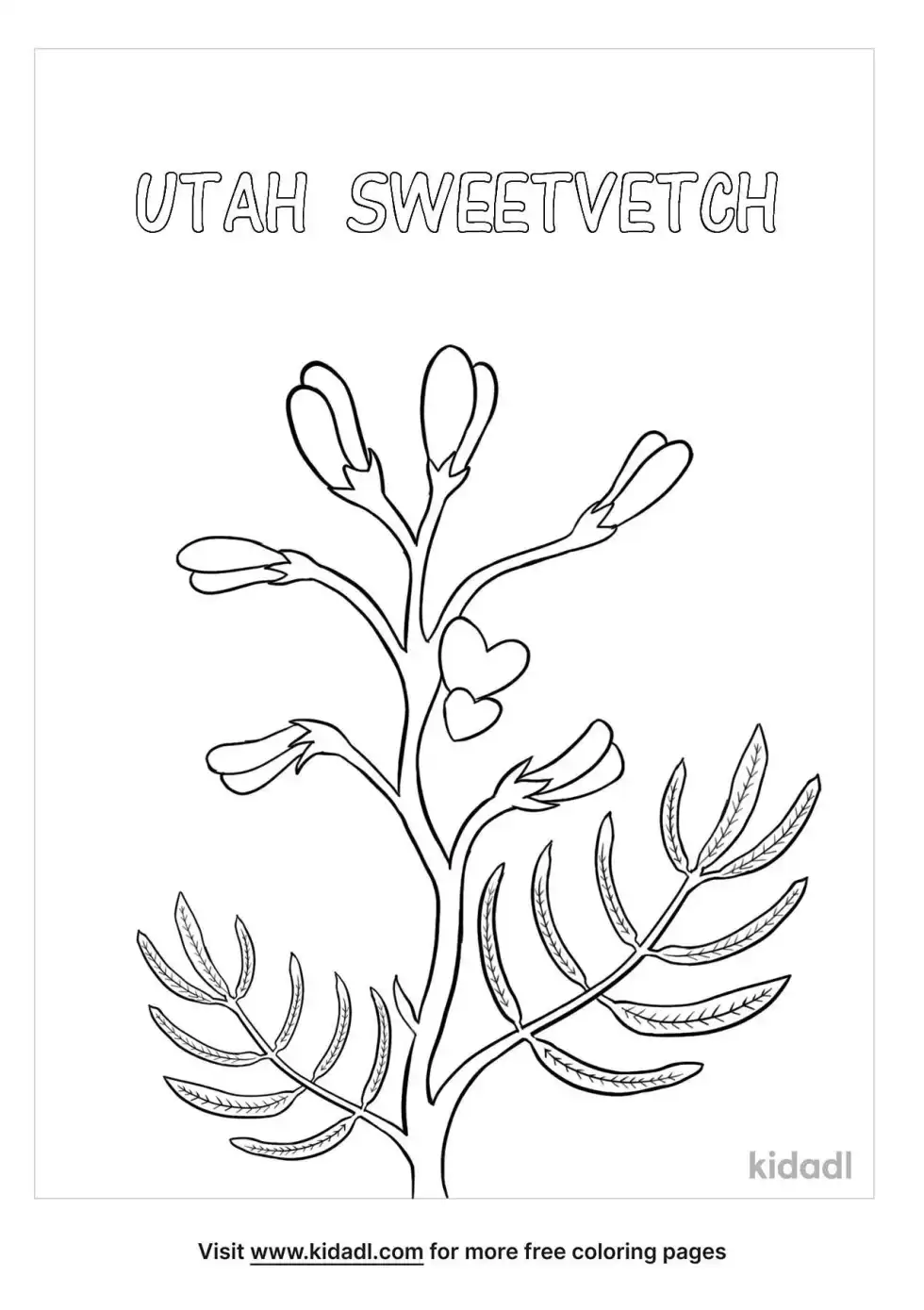 Utah Sweetvetch Coloring Page