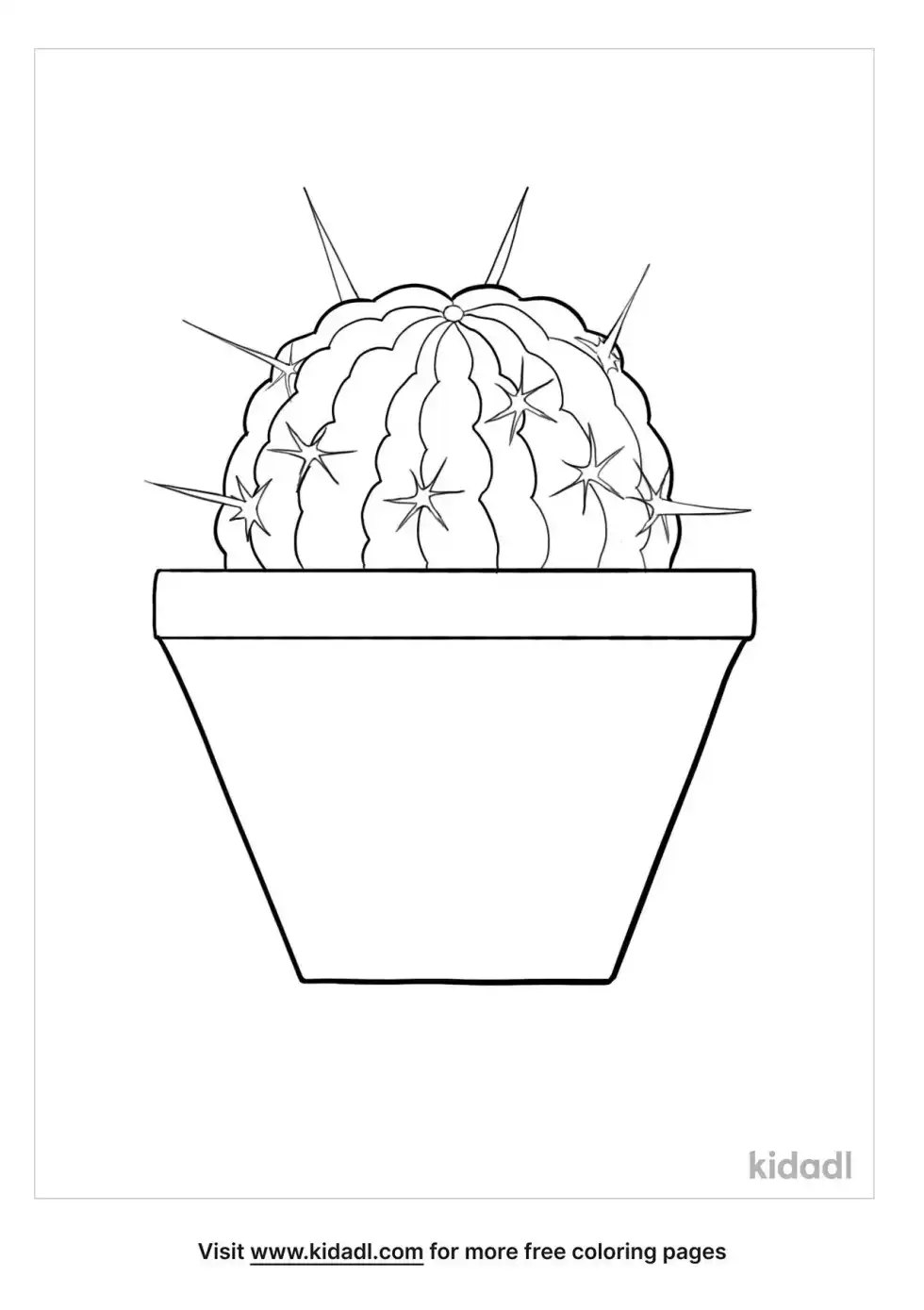 Stenocactus Multicostatus Coloring Page