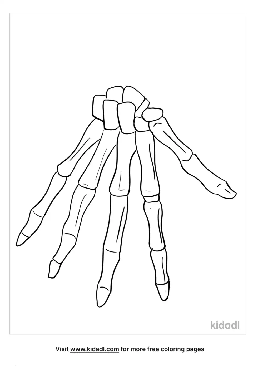 Anatomical Bone Coloring Page