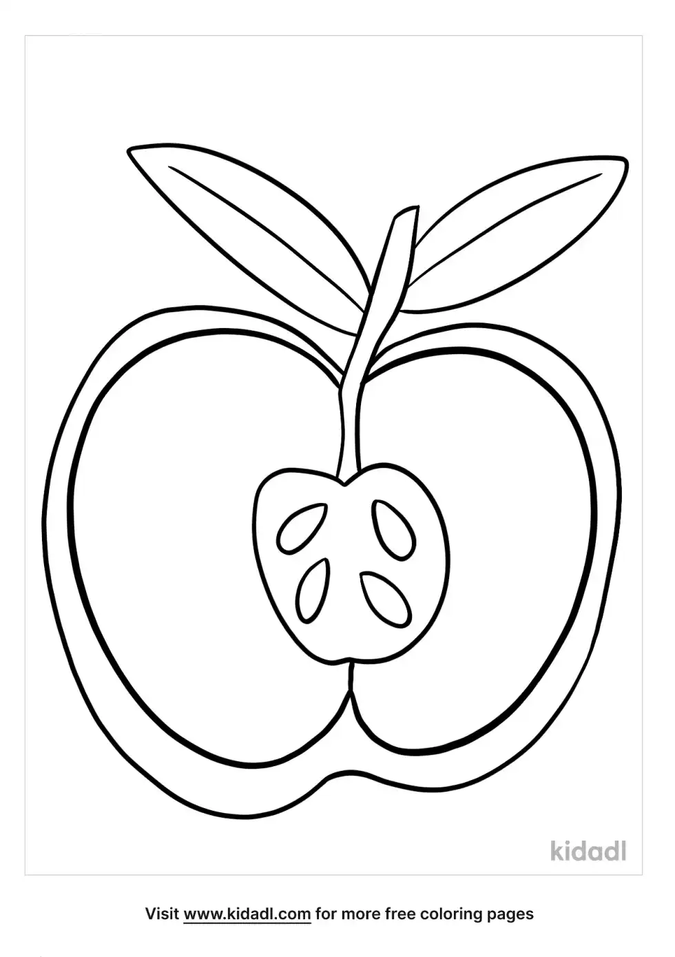 Cross Section Of An Apple Coloring Page