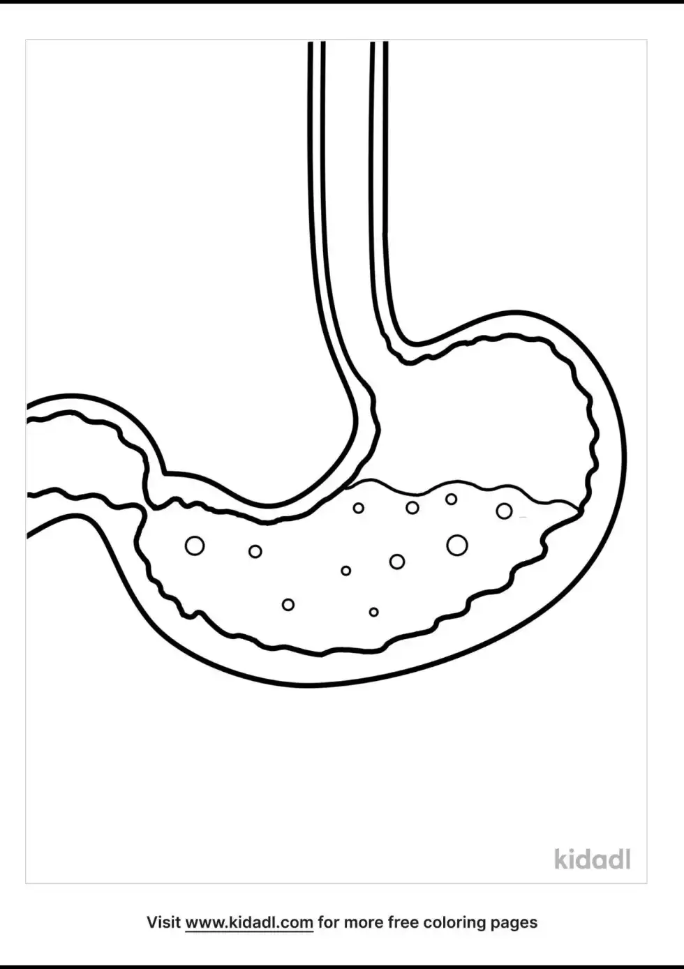 Stomach Coloring Page