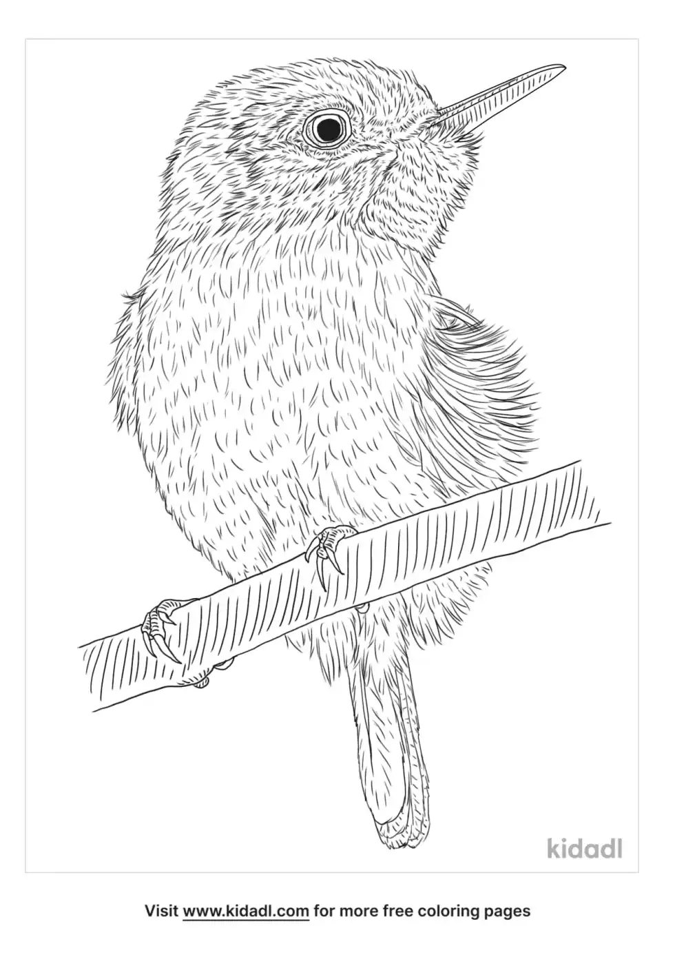 Tody Coloring Page