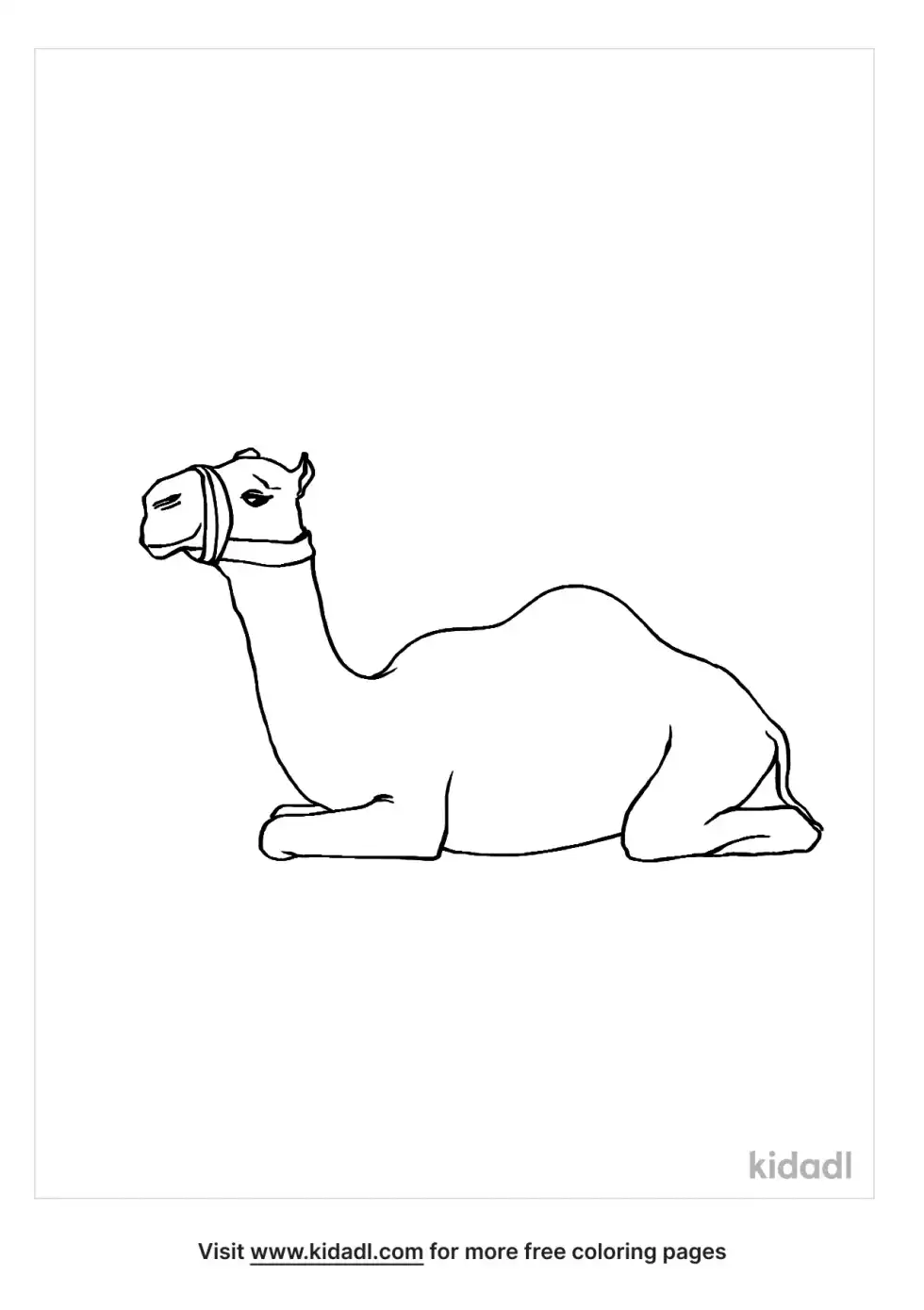 Camel Sitting Down Coloring Page