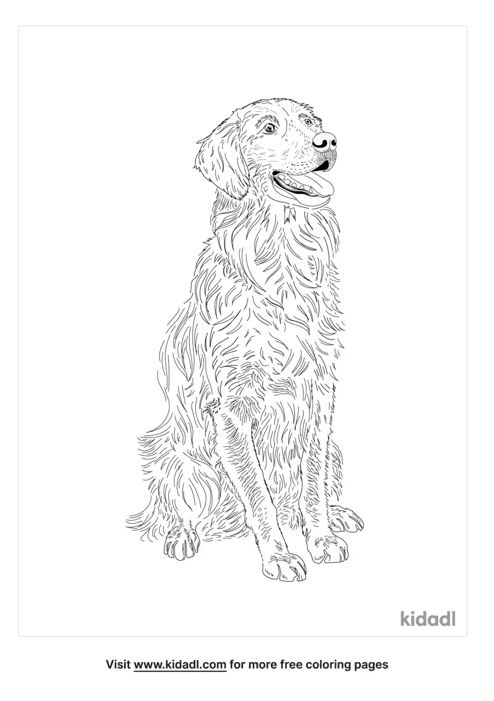Golden Retriever Corgi Coloring Page