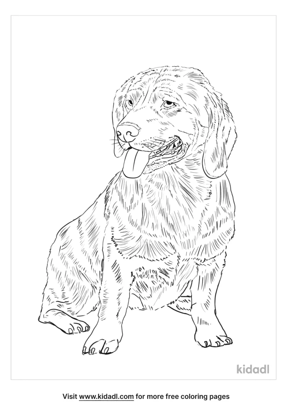 Alphine Dachsbracke Coloring Page