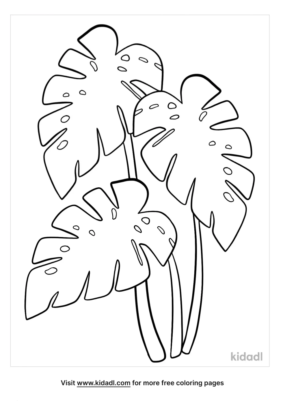 Monstera Leaf Coloring Page