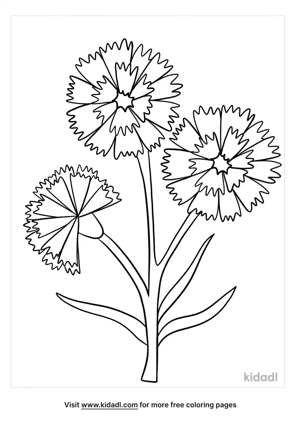 Cornflower Coloring Page