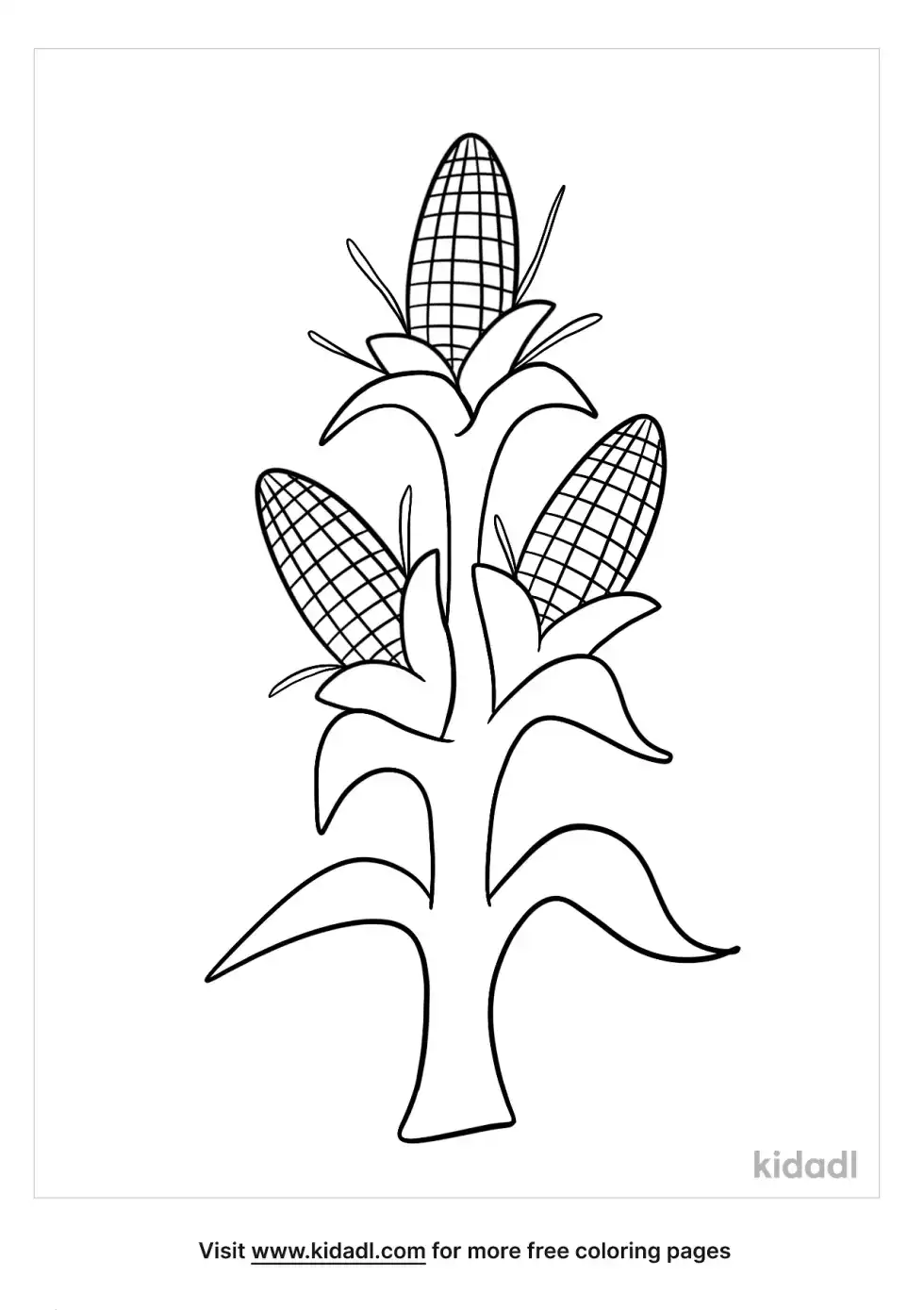 Cornstalk Coloring Page