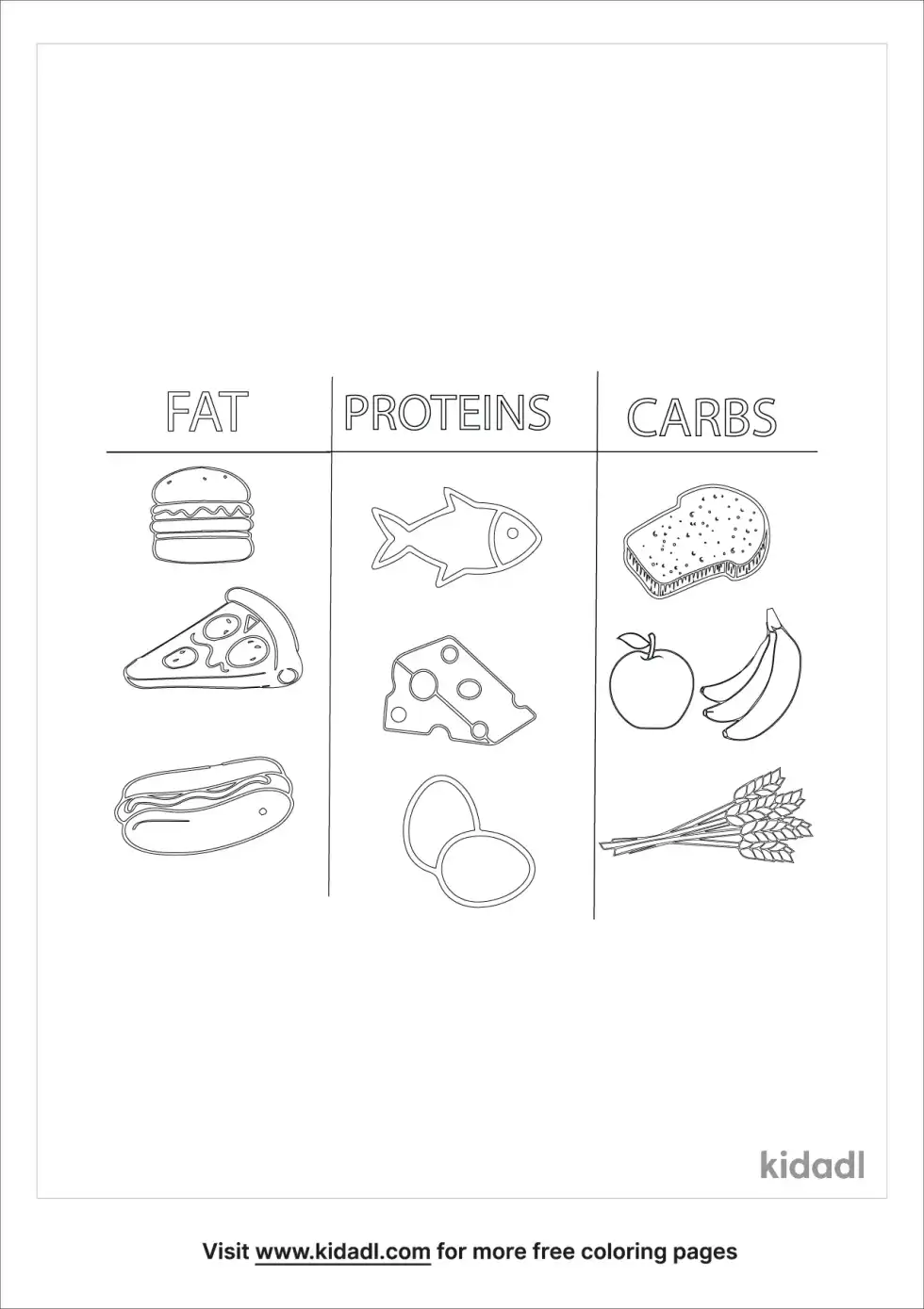 Food Fats Proteins Carbs Coloring Page