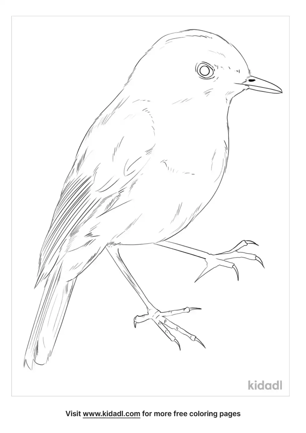 Nilgiri Blue Robin Coloring Page