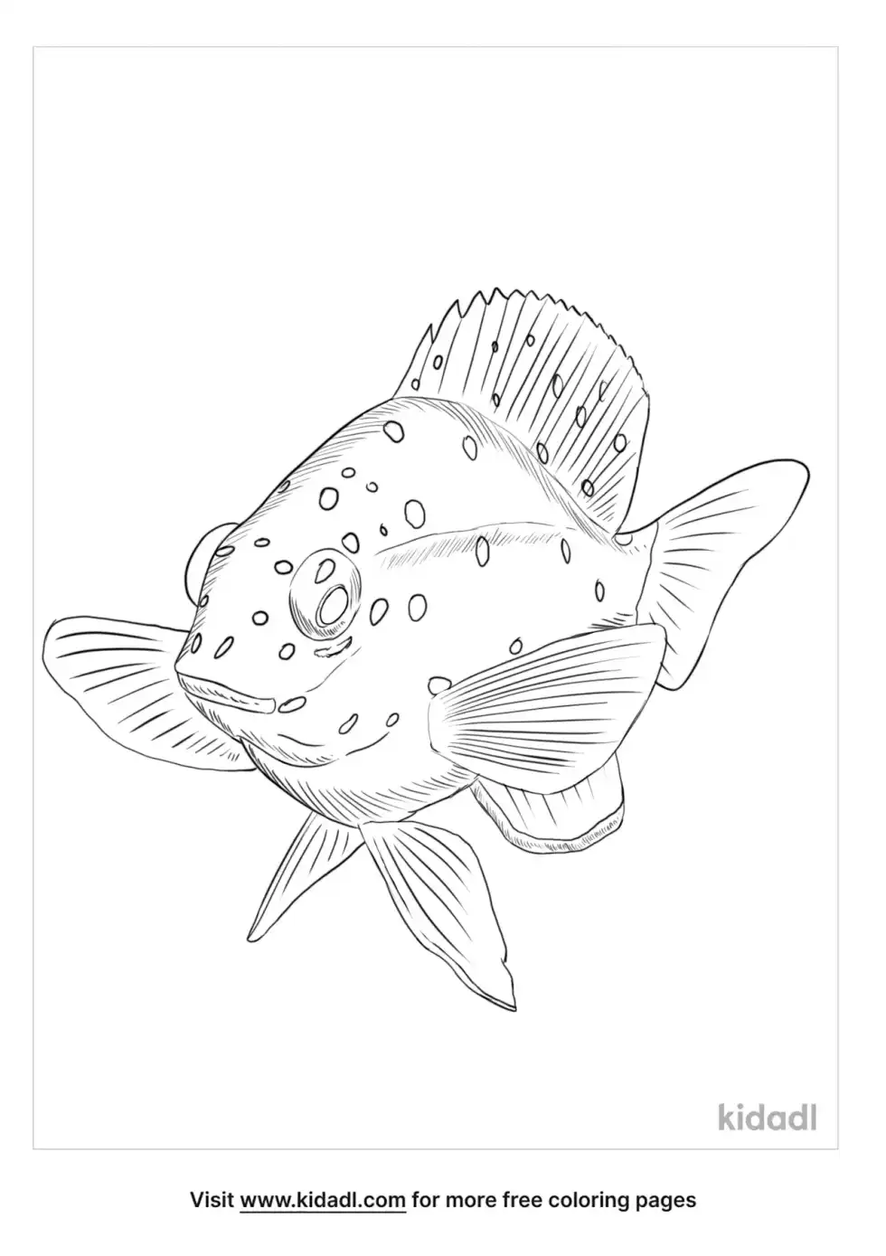 Yellowtail Damselfish Coloring Page