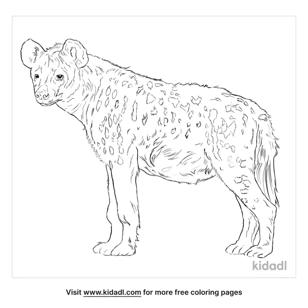 Spotted Hyena Coloring Page