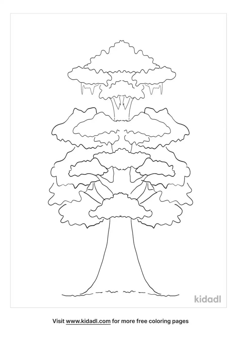Bald Cypress Tree Coloring Page
