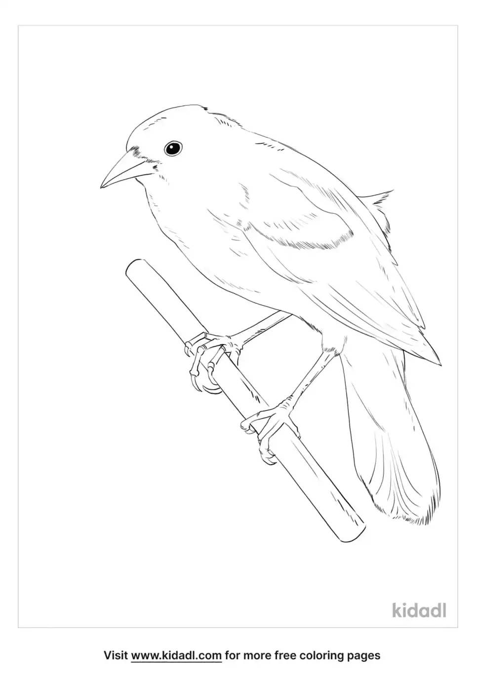 Yellow-Winged Blackbird Coloring Page